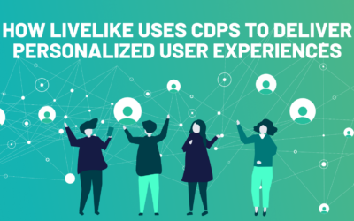 Personalizing User Experiences With  Customer Data Platforms